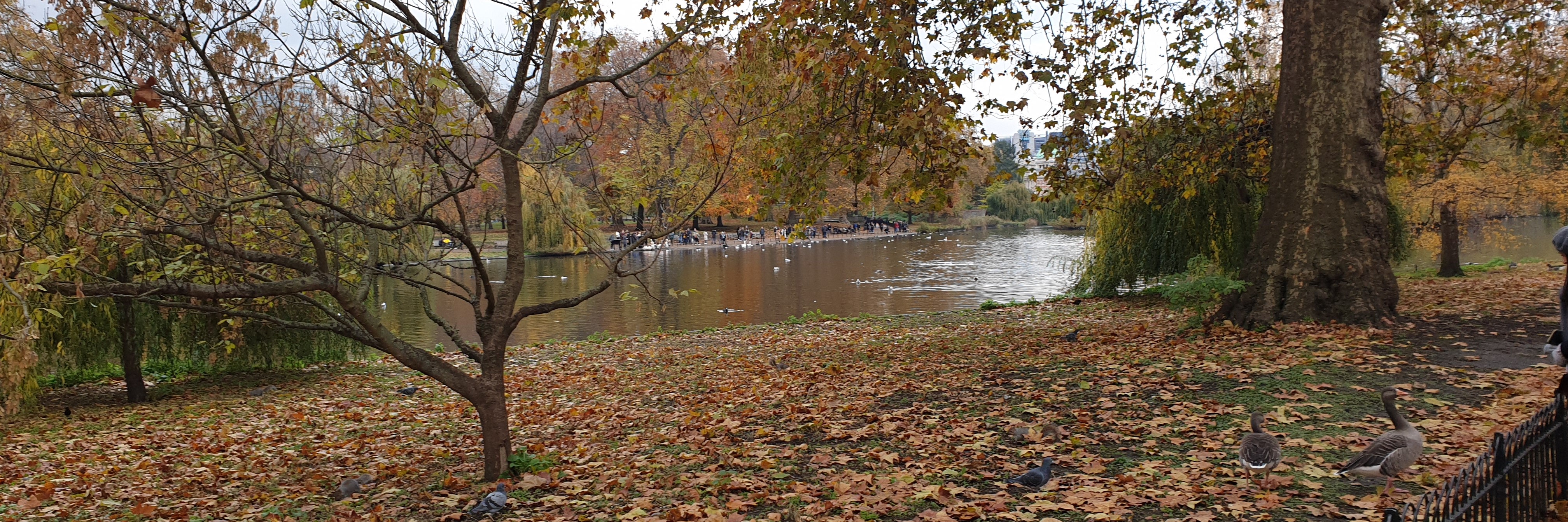 image of Saint James park taken by Michail Christofis